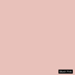 Blush Pink Luxurio Super Gloss shade