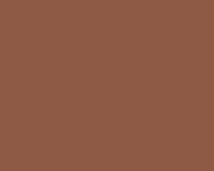 Light Brown 315 Chiffon Matt Solid Colors shade