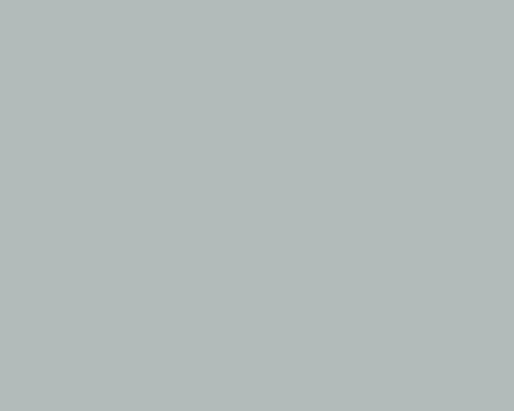Dolphin Grey Rafahia Chiffon Matt laminate shade