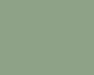 Hue Mint Chiffon Matt Solid Colors shade