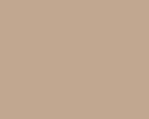 Cappuccino 321 Chiffon Matt Solid Colors shade
