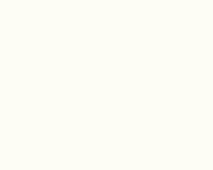 Off White 302 Chiffon Matt Solid Colors shade
